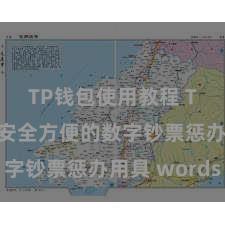 TP钱包使用教程 TP钱包：安全方便的数字钞票惩办用具 words